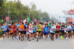 Trên 1.200 vận động viên tranh tài tại Đại hội Thể dục - Thể thao tỉnh lần thứ VII