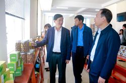 Nâng tầm giá trị sản phẩm OCOP và sản phẩm đặc trưng có lợi thế ở Lạc Dương