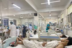 Hà Nội ghi nhận 19 ổ bệnh sốt xuất huyết
