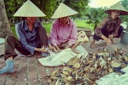 Cuộc đời sau ống kính: 20 năm vẫn tận diệt chim trời