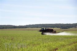 Các bộ trưởng tài chính G20 đạt đồng thuận về an ninh lương thực