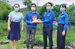Thanh niên nuôi heo rừng, làm giàu trên mảnh đất quê hương
