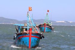 'Thẻ vàng' IUU: Kiên Giang hướng tới xóa dứt điểm tình trạng vi phạm