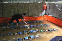 Nuôi lươn không bùn thu lãi hàng trăm triệu đồng mỗi năm