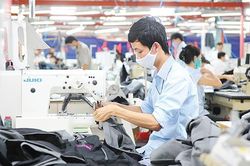 Áp lực giá xăng dầu 'vơi bớt', doanh nghiệp vẫn loay hoay với khó khăn