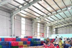Hình thành tập đoàn, doanh nghiệp chế biến nông sản hiện đại
