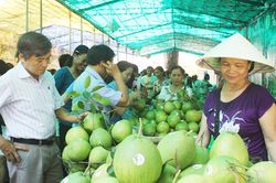 Thừa Thiên-Huế: Tổ chức hội thi trái ngon thanh trà Huế lần II năm 2022