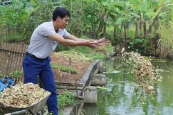 Hiệu quả mô hình sản xuất nông sản sạch ở Quang Kim