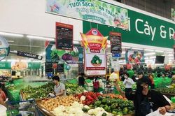 TP Hồ Chí Minh: Bình chọn doanh nghiệp, doanh nhân tiêu biểu