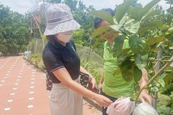 Bắc Giang: Dân khổ vì Trung tâm Khuyến nông tỉnh cho cung cấp phân bón lạ 'toàn tiếng Anh'