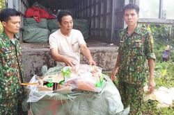 Phát hiện hơn 2,4 tấn thực phẩm đông lạnh bốc mùi trên xe tải