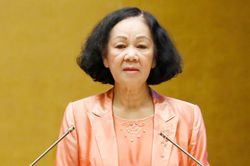Bà Trương Thị Mai: 'Không thể để cán bộ bị kỷ luật ngồi đó mãi'
