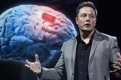 Elon Musk đã tải bộ não của mình lên đám mây