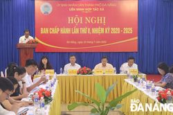Toàn thành phố có 412 tổ hợp tác, hợp tác xã, liên hiệp hợp tác xã