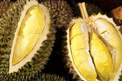 Cơ hội rộng mở cho xuất khẩu sầu riêng sang các nước