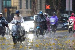 Bắc Bộ còn mưa nhiều ở khu vực đồng bằng và ven biển