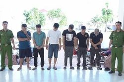 Nhóm 'cẩu tặc' dùng xe tải bắt trộm cả trăm con chó mỗi đêm