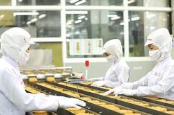 Hàng loạt mỳ ăn liền Việt Nam xuất sang EU bị phát hiện chứa chất cấm