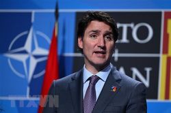 Canada không tin Nga sẽ mở đường cho xuất khẩu ngũ cốc