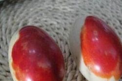 Đi đào măng phát hiện trứng đá dính máu, ai dè báu vật