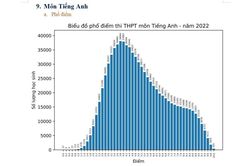 Phổ điểm môn tiếng Anh 2022 biến động mạnh