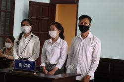 Lập khống 60 hợp đồng, nguyên Giám đốc trung tâm dạy nghề và thuộc cấp lĩnh án tù