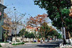 Hồn phố lao xao