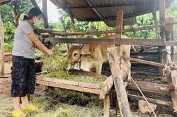 Gia Lai: Thực hiện chiến lược công tác dân tộc giai đoạn 2021-2030, tầm nhìn đến năm 2045