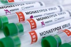 EU cấp phép sử dụng vaccine của Bavarian Nordic phòng đậu mùa khỉ