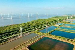 Hai lộ trình giúp Việt Nam đạt mục tiêu kép về tăng trưởng và khí hậu