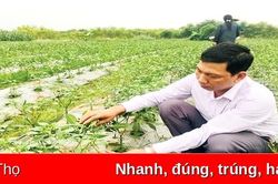 Khẳng định mô hình hợp tác xã kiểu mới