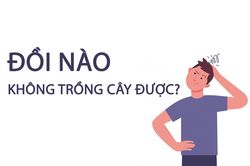 Đồi nào không trồng cây được?