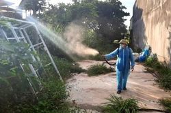 Đắk Lắk: Một bệnh nhi tử vong vì sốt xuất huyết