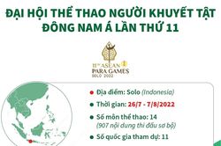 Đại hội Thể thao người khuyết tật Đông Nam Á lần thứ 11