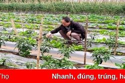 Xây dựng chuỗi giá trị nông sản
