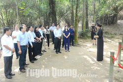 Đoàn công tác Thường trực HĐND tỉnh An Giang thăm, làm việc tại tỉnh