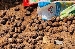 Đào móng nhà phát hiện hơn 400kg đầu đạn và vỏ lựu đạn