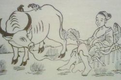 Chữ và nghĩa: 'Sáng tai họ, điếc tai cày'