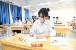 Nhiều trường của Hà Nội đạt trung bình điểm thi môn Toán từ 8,0