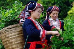 Việt Nam nhận 2,5 triệu USD tăng cường trợ giúp pháp lý cho các đối tượng yếu thế