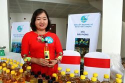 Hướng đi mới từ cây lạc đen