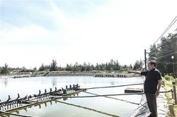 Tận tâm với vùng cát quê hương