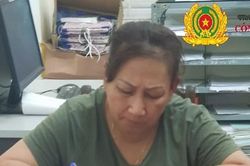 Nữ quái bị bắt khi vừa về Việt Nam sau 17 năm trốn truy nã tại Mỹ