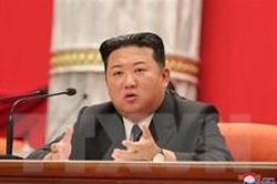Yonhap: Triều Tiên cảnh báo Hàn Quốc sẽ bị 'xóa sổ' nếu đối đâùTin khácĐiểm tựa vững chắc cho người lao độngSâu nặng nghĩa tình