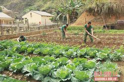 Ngành hậu cần Bộ đội Biên phòng làm theo lời Bác
