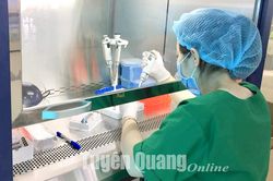 Bệnh viện Đa khoa Phương Bắc triển khai hệ thống chẩn đoán xét nghiệm phân tử