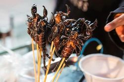 Đặc sản côn trùng ở Bangkok