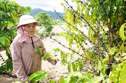 Hai thủy điện không hỗ trợ thiệt hại cho người dân ở Kon Tum: 'Tối hậu thư' cho hai công ty thủy điện chây ì