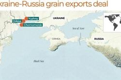 Biển Đen: Ukraine thông báo khôi phục hoạt động của 3 cảng, chuyến tàu ngũ cốc đầu tiên sắp xuất bến