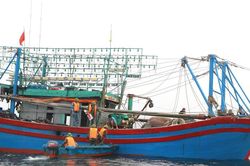 Nghệ An xử phạt thêm 2 tàu cá đánh bắt vi phạm Luật Thủy sản